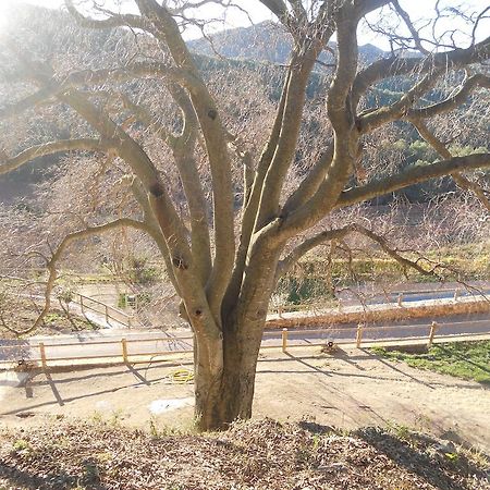 Masia Puigadoll Rodoñá المظهر الخارجي الصورة
